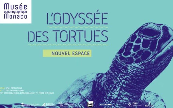 Cannes - L\'ODYSSÉE DES TORTUES MARINES 