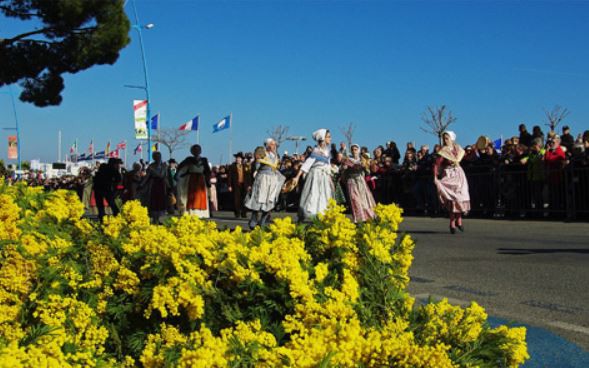 Cannes - FÊTE DU MIMOSA 