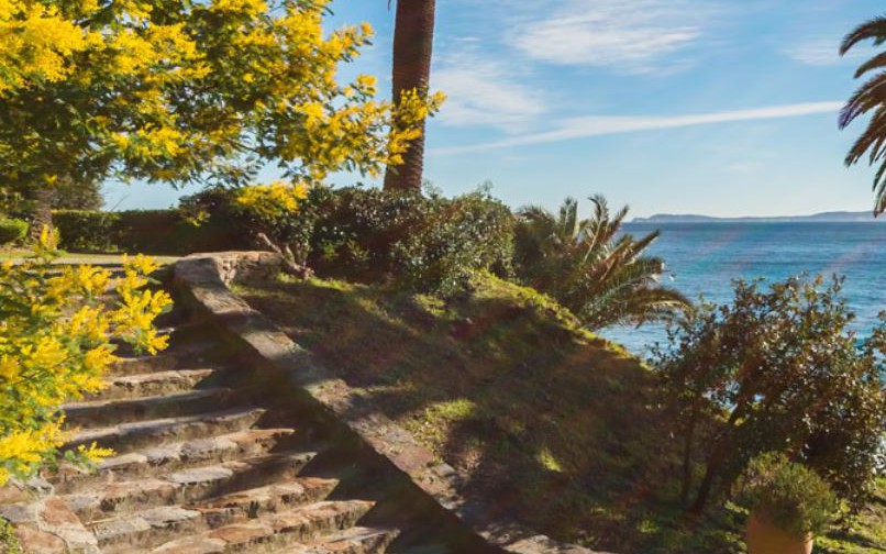 Cannes - LA ROUTE DU MIMOSA
