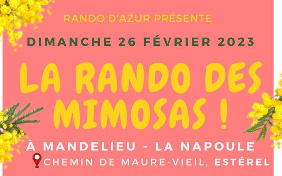 Cannes - LA RANDO DES MIMOSAS