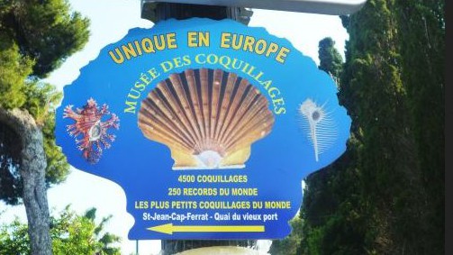 Cannes - Musée des coquillages 